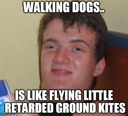 10 Guy Meme | WALKING DOGS.. IS LIKE FLYING LITTLE RETARDED GROUND KITES | image tagged in memes,10 guy | made w/ Imgflip meme maker
