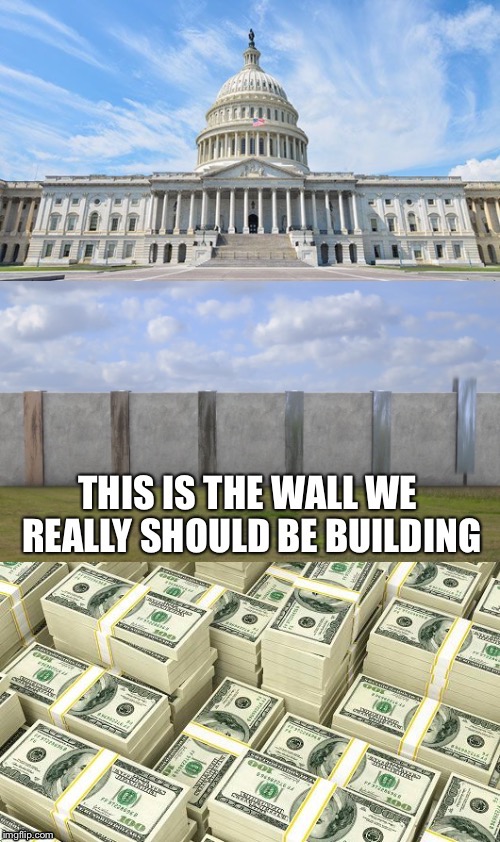 Should Be Building | image tagged in wall,donald trump,congress,money,politics,corruption | made w/ Imgflip meme maker