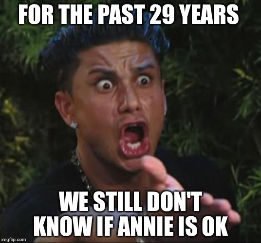 DJ Pauly D Meme | FOR THE PAST 29 YEARS; WE STILL DON'T KNOW IF ANNIE IS OK | image tagged in memes,dj pauly d | made w/ Imgflip meme maker