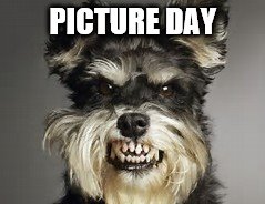 SCHOOL PICTURES ARE THE WORST!! | PICTURE DAY | image tagged in funny,dogs | made w/ Imgflip meme maker