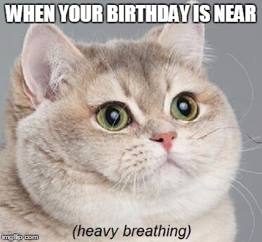 Heavy Breathing Cat | WHEN YOUR BIRTHDAY IS NEAR | image tagged in memes,heavy breathing cat | made w/ Imgflip meme maker
