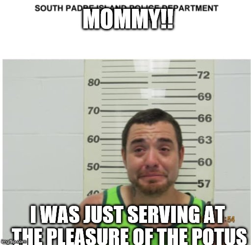Trump's America | MOMMY!! I WAS JUST SERVING AT THE PLEASURE OF THE POTUS | image tagged in brave | made w/ Imgflip meme maker