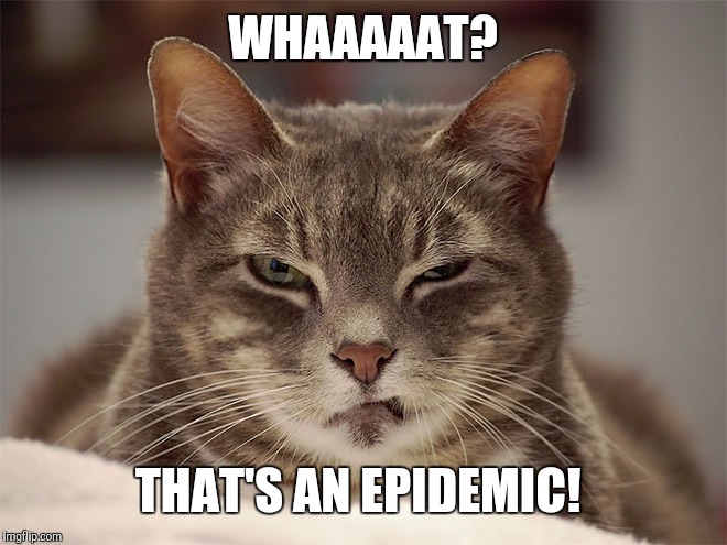 Sarcasm Cat | WHAAAAAT? THAT'S AN EPIDEMIC! | image tagged in sarcasm cat | made w/ Imgflip meme maker