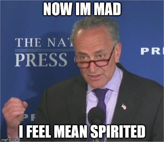 mean spirited | NOW IM MAD I FEEL MEAN SPIRITED | image tagged in mean spirited | made w/ Imgflip meme maker