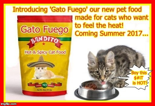 Gato Fuego - "Fire Cat" - Spicy Cat Food | image tagged in spicy cat food,gato fuego,spoof,gringo bandito | made w/ Imgflip meme maker
