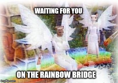 Waiting on the Rainbow Bridge | WAITING FOR YOU; ON THE RAINBOW BRIDGE | image tagged in memes | made w/ Imgflip meme maker
