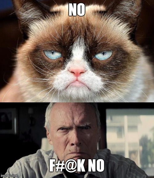 Grumpy cats | NO; F#@K NO | image tagged in grumpy cat,mad clint eastwood | made w/ Imgflip meme maker