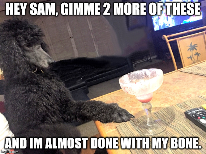 Noah Gump at the bar. | HEY SAM, GIMME 2 MORE OF THESE; AND IM ALMOST DONE WITH MY BONE. | image tagged in noah gump at bar,drink,bone,and everybody loses their minds,jack sparrow being chased,one does not simply | made w/ Imgflip meme maker