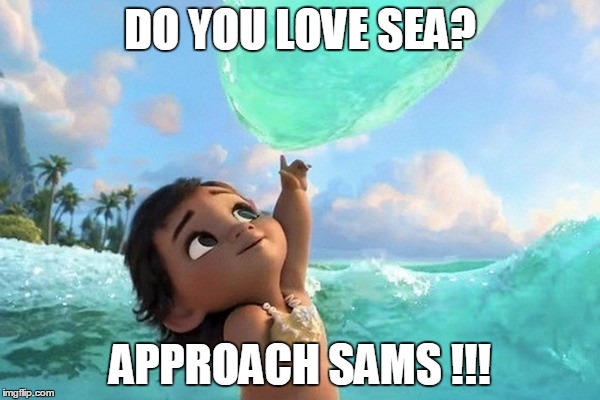 JOIN SAMS | DO YOU LOVE SEA? APPROACH SAMS !!! | image tagged in adventure time | made w/ Imgflip meme maker
