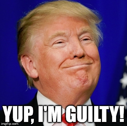 trump | YUP, I'M GUILTY! | image tagged in guilty | made w/ Imgflip meme maker