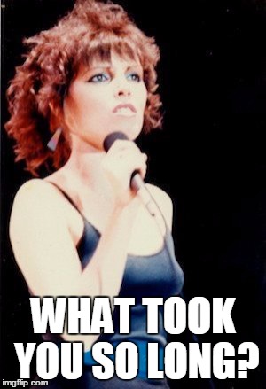 Pat Benatar | WHAT TOOK YOU SO LONG? | image tagged in pat benatar | made w/ Imgflip meme maker