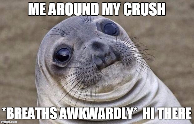 Awkward Moment Sealion | ME AROUND MY CRUSH; *BREATHS AWKWARDLY*  HI THERE | image tagged in memes,awkward moment sealion | made w/ Imgflip meme maker