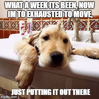 long week  | WHAT A WEEK ITS BEEN, NOW IM TO EXHAUSTED TO MOVE, JUST PUTTING IT OUT THERE | image tagged in dog,bath | made w/ Imgflip meme maker