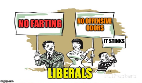 The Russians did it | NO OFFENSIVE ODORS; NO FARTING; IT STINKS; LIBERALS | image tagged in liberals | made w/ Imgflip meme maker