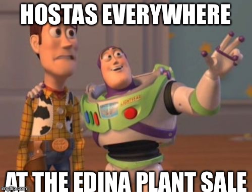 X, X Everywhere | HOSTAS EVERYWHERE; AT THE EDINA PLANT SALE | image tagged in memes,x x everywhere | made w/ Imgflip meme maker