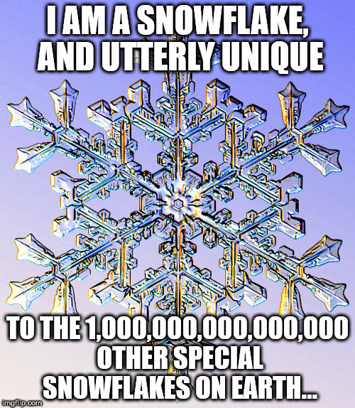 I AM A SNOWFLAKE, AND UTTERLY UNIQUE; TO THE 1,000,000,000,000,000 OTHER SPECIAL SNOWFLAKES ON EARTH... | image tagged in special snowflake | made w/ Imgflip meme maker