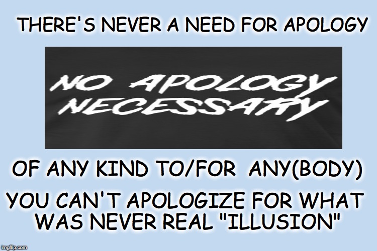 THERE'S NEVER A NEED FOR APOLOGY; OF ANY KIND TO/FOR  ANY(BODY); YOU CAN'T APOLOGIZE FOR WHAT WAS NEVER REAL "ILLUSION" | made w/ Imgflip meme maker