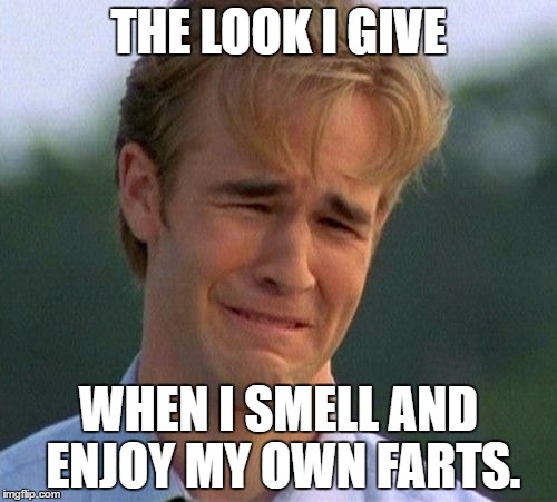 1990s First World Problems | THE LOOK I GIVE; WHEN I SMELL AND ENJOY MY OWN FARTS. | image tagged in memes,1990s first world problems | made w/ Imgflip meme maker