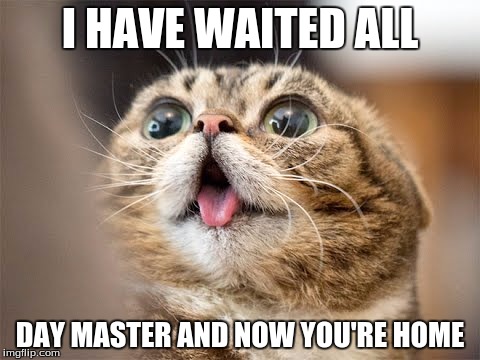I HAVE WAITED ALL; DAY MASTER AND NOW YOU'RE HOME | image tagged in master | made w/ Imgflip meme maker