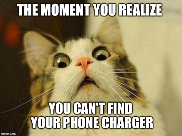 Scared Cat Meme | THE MOMENT YOU REALIZE; YOU CAN'T FIND YOUR PHONE CHARGER | image tagged in memes,scared cat | made w/ Imgflip meme maker