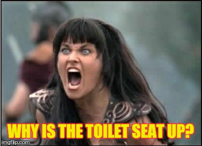 WHY IS THE TOILET SEAT UP? | made w/ Imgflip meme maker