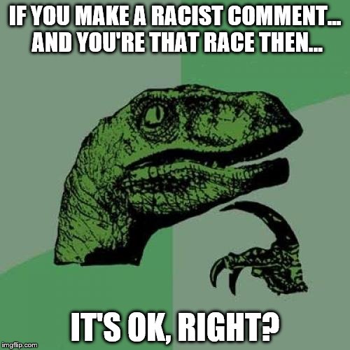 Racism~ | IF YOU MAKE A RACIST COMMENT... AND YOU'RE THAT RACE THEN... IT'S OK, RIGHT? | image tagged in memes,philosoraptor | made w/ Imgflip meme maker