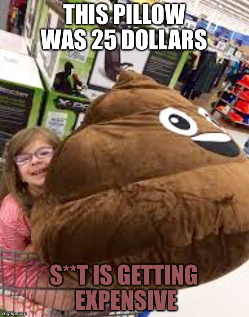 Poop in Walmart  | THIS PILLOW WAS 25 DOLLARS; S**T IS GETTING EXPENSIVE | image tagged in funny,poop pillow,meme | made w/ Imgflip meme maker