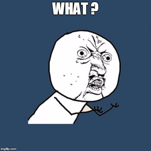 Y U No | WHAT ? | image tagged in memes,y u no | made w/ Imgflip meme maker