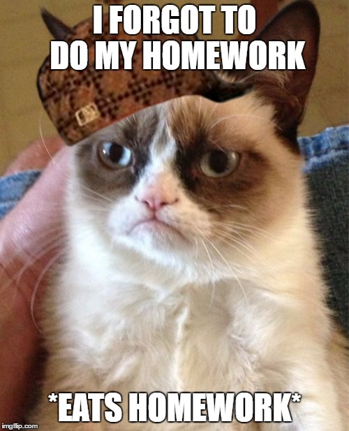 Grumpy Cat Meme | I FORGOT TO DO MY HOMEWORK; *EATS HOMEWORK* | image tagged in memes,grumpy cat,scumbag | made w/ Imgflip meme maker