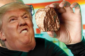 Trump loves rocks Blank Meme Template