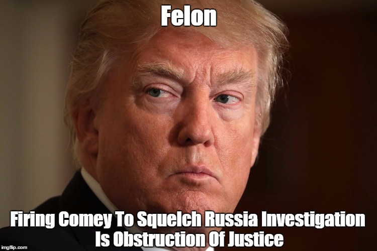 Image result for pax on both houses, trump obstruction of justice