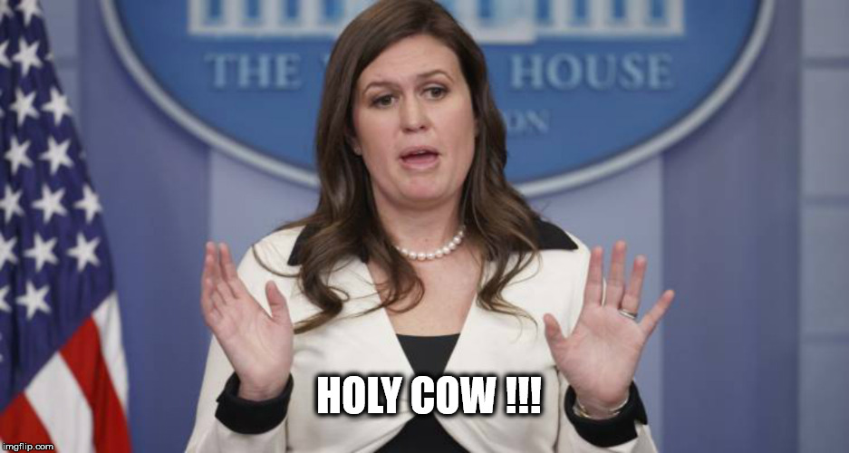 Sarah Huckabee Sanders | HOLY COW !!! | image tagged in sarah huckabee sanders | made w/ Imgflip meme maker