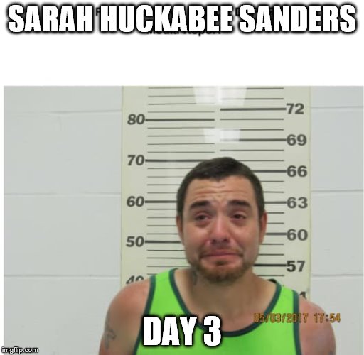 Trump life | SARAH HUCKABEE SANDERS; DAY 3 | image tagged in memes | made w/ Imgflip meme maker