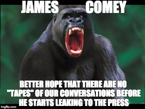 silverback gorilla | JAMES          COMEY; BETTER HOPE THAT THERE ARE NO "TAPES" OF OUR CONVERSATIONS BEFORE HE STARTS LEAKING TO THE PRESS | image tagged in silverback gorilla | made w/ Imgflip meme maker