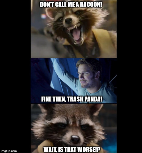 Trash Panda | DON'T CALL ME A RACOON! FINE THEN, TRASH PANDA! WAIT, IS THAT WORSE!? | image tagged in don't call him a racoon | made w/ Imgflip meme maker