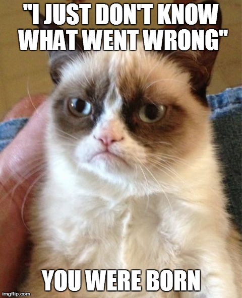 Grumpy Cat | image tagged in memes,grumpy cat | made w/ Imgflip meme maker