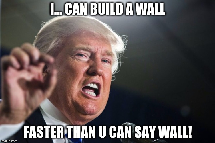 donald trump | I... CAN BUILD A WALL; FASTER THAN U CAN SAY WALL! | image tagged in donald trump | made w/ Imgflip meme maker