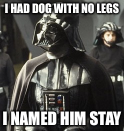 Darth Vader | I HAD DOG WITH NO LEGS I NAMED HIM STAY | image tagged in darth vader | made w/ Imgflip meme maker