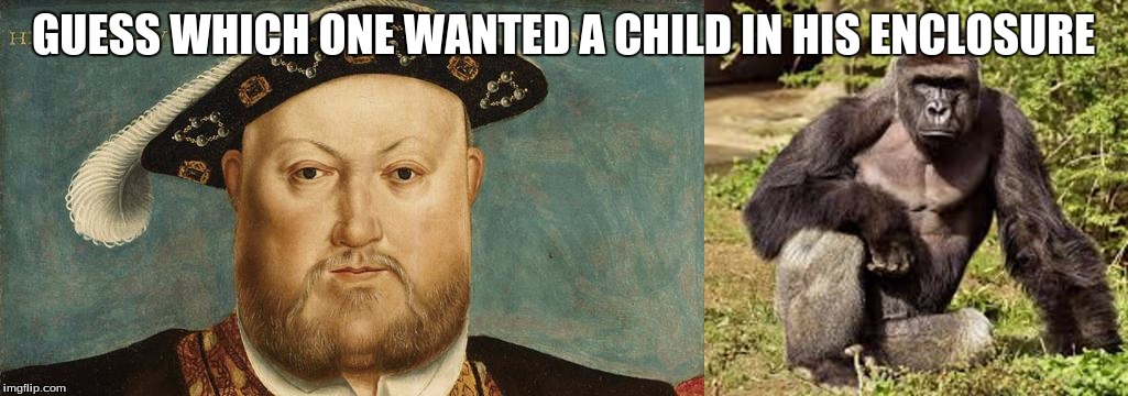 History repeats itself | GUESS WHICH ONE WANTED A CHILD IN HIS ENCLOSURE | image tagged in ripharambe | made w/ Imgflip meme maker