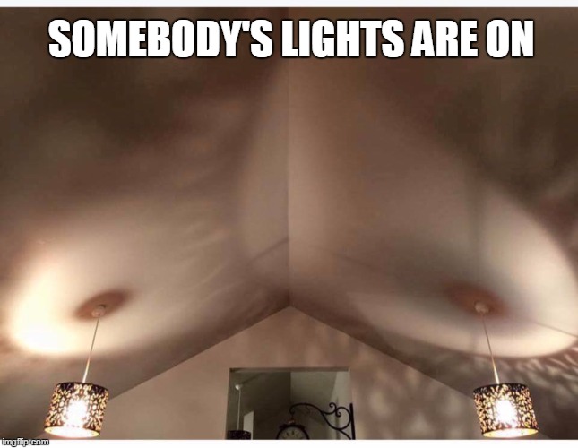 You have a dirty mind | SOMEBODY'S LIGHTS ARE ON | image tagged in dirty mind,optical illusion | made w/ Imgflip meme maker