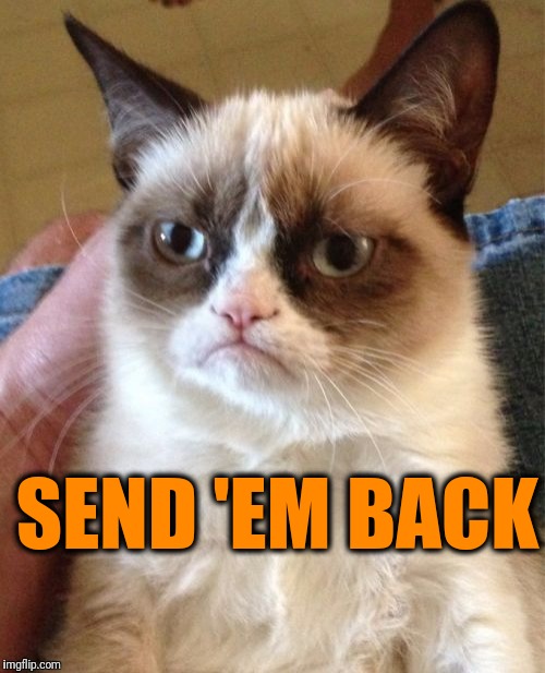 Grumpy Cat Meme | SEND 'EM BACK | image tagged in memes,grumpy cat | made w/ Imgflip meme maker