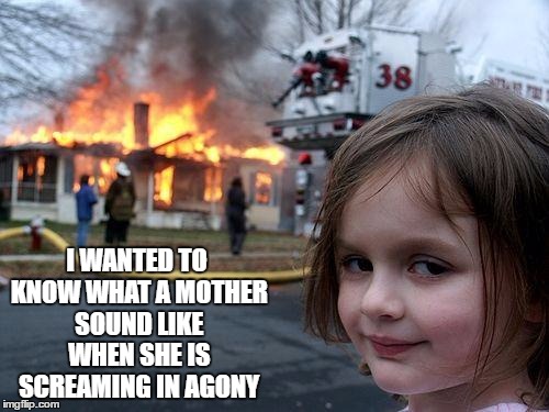 Disaster Girl Meme | I WANTED TO KNOW WHAT A MOTHER SOUND LIKE WHEN SHE IS SCREAMING IN AGONY | image tagged in memes,disaster girl | made w/ Imgflip meme maker