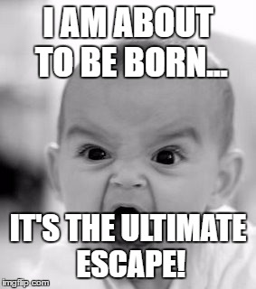 Ultimate Escape | I AM ABOUT TO BE BORN... IT'S THE ULTIMATE ESCAPE! | image tagged in memes,angry baby | made w/ Imgflip meme maker