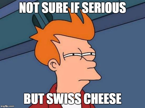 Futurama Fry Meme | NOT SURE IF SERIOUS BUT SWISS CHEESE | image tagged in memes,futurama fry | made w/ Imgflip meme maker