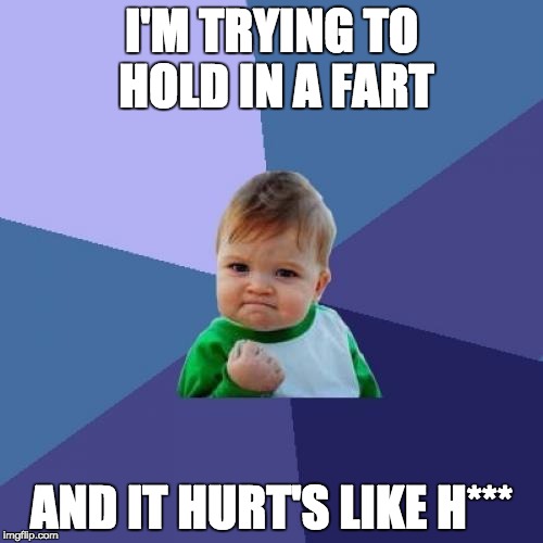 Success Kid Meme | I'M TRYING TO HOLD IN A FART; AND IT HURT'S LIKE H*** | image tagged in memes,success kid | made w/ Imgflip meme maker