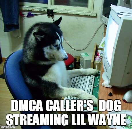 I Have No Idea What I Am Doing | DMCA CALLER'S  DOG STREAMING LIL WAYNE | image tagged in memes,i have no idea what i am doing | made w/ Imgflip meme maker
