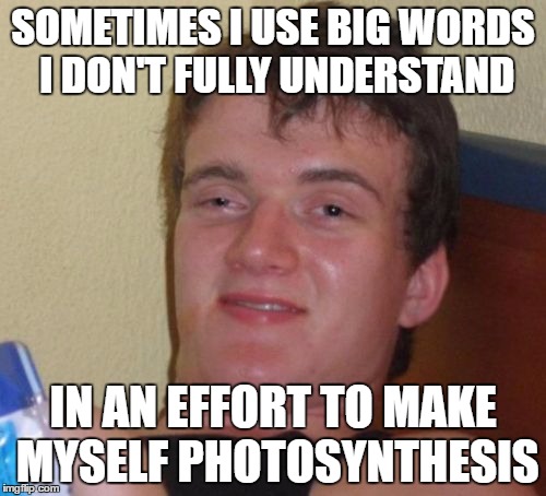 10 Guy Meme | SOMETIMES I USE BIG WORDS I DON'T FULLY UNDERSTAND; IN AN EFFORT TO MAKE MYSELF PHOTOSYNTHESIS | image tagged in memes,10 guy | made w/ Imgflip meme maker