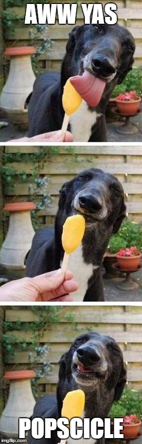 Happy Friday! | AWW YAS; POPSCICLE | image tagged in greyhound,popsicle,licking,delish,meme | made w/ Imgflip meme maker