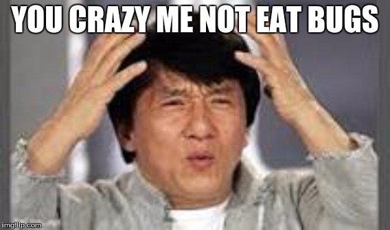 Jackie chan | YOU CRAZY ME NOT EAT BUGS | image tagged in asian | made w/ Imgflip meme maker