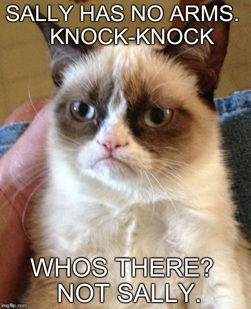 Grumpy Cat | SALLY HAS NO ARMS.
  KNOCK-KNOCK; WHOS THERE?
 NOT SALLY. | image tagged in memes,grumpy cat | made w/ Imgflip meme maker